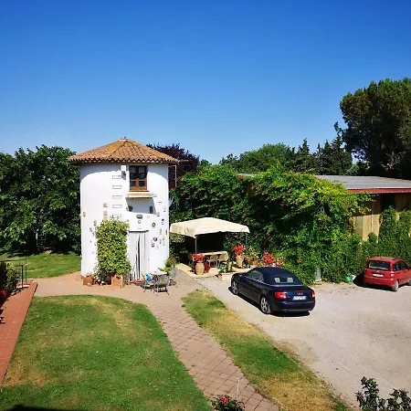 Poggio